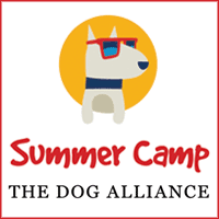 This image is a link and logo for the The Dog Alliance Summer Camp.