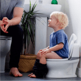 A small boy sitting in his training toilet learning how to use the toilet on his own.