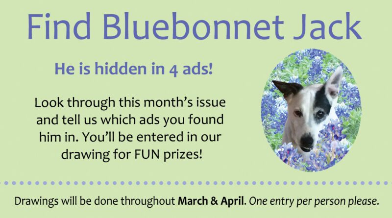 Find Bluebonnet Jack Giveaway